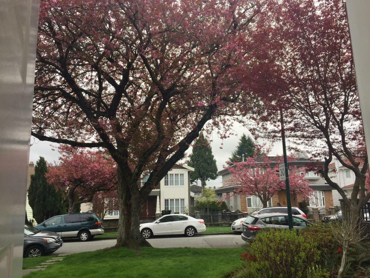 Lee Home Vancouver Ngoại thất bức ảnh